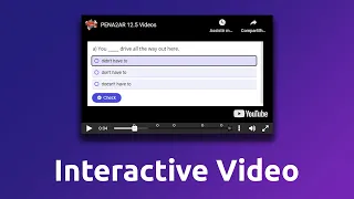 Interactive Videos